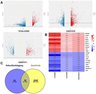 Identification and validation of Rab GTPases RAB13 as biomarkers for peritoneal metastasis and immune cell infiltration in colorectal cancer patients